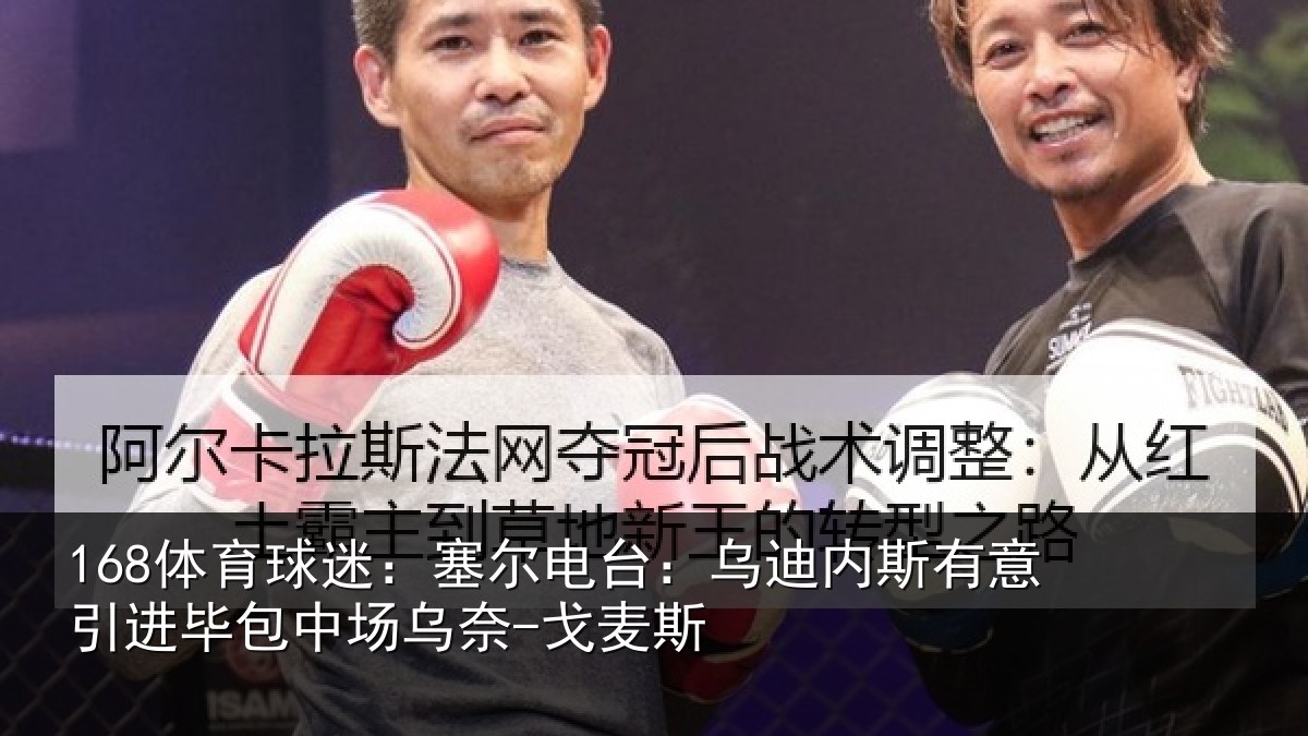 168体育球迷：塞尔相关情况引进相关情况斯